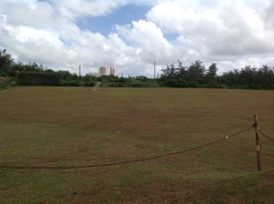 小学校のグラウンドは天然芝でした。