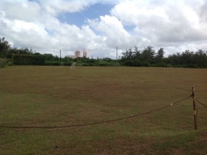 小学校のグラウンドは天然芝でした。