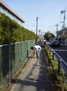 学校東側の歩道の草抜きをする美化委員