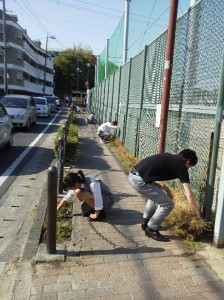 テニスコート東側の歩道にも雑草がいっぱい生えていました。