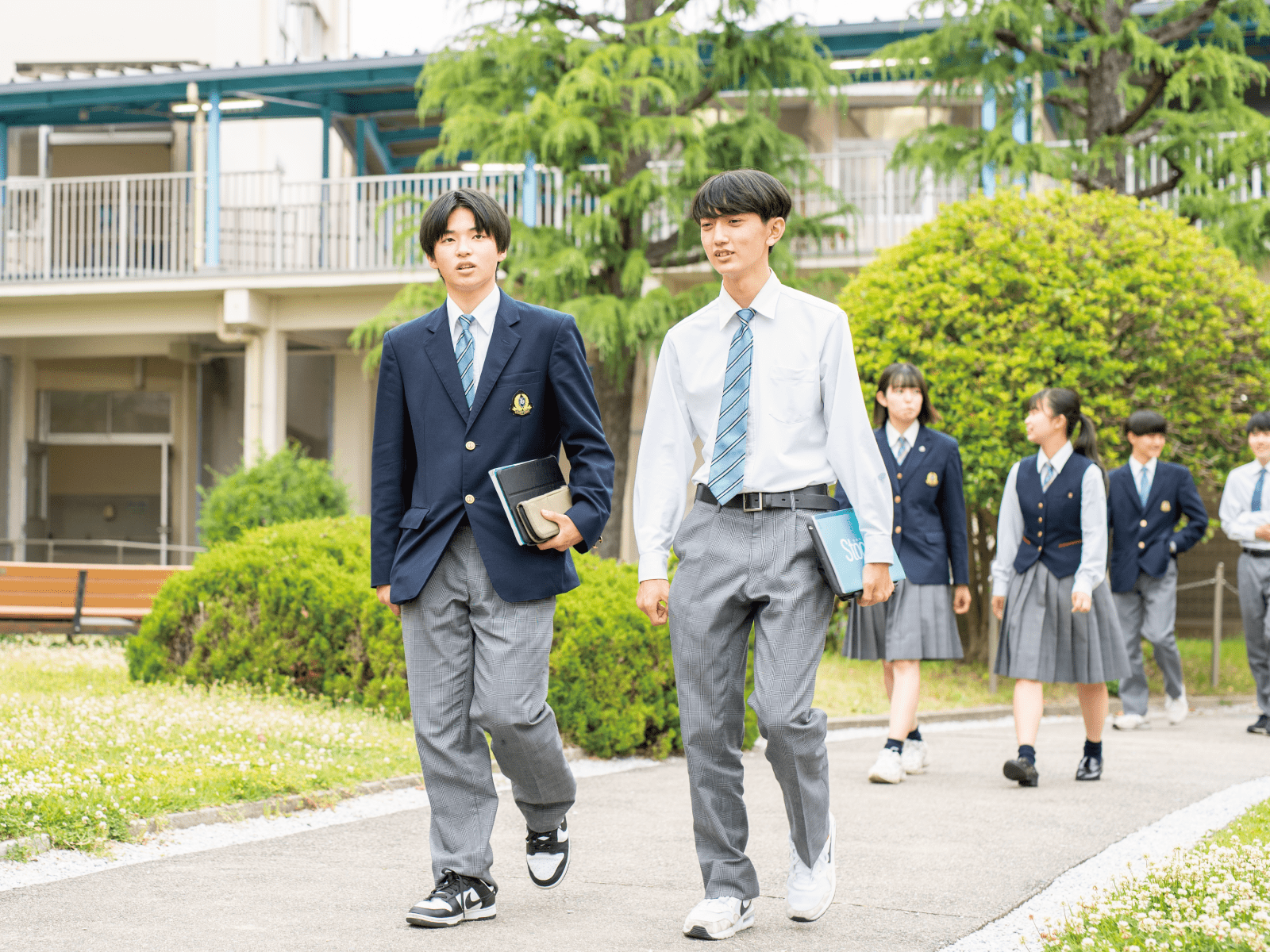 学校案内