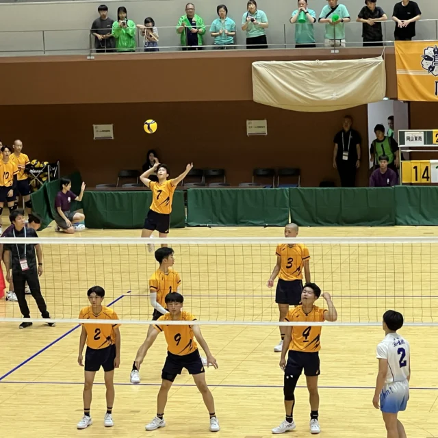 男子バレーインターハイ結果