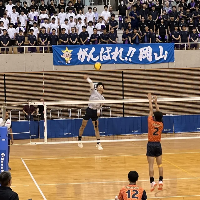 男子バレー国スポ予選